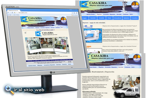 Ir al sitio web